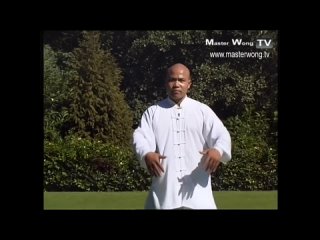 [Master Wong] Tai chi chuan for beginners - Taiji Yang Style form Lesson 1
