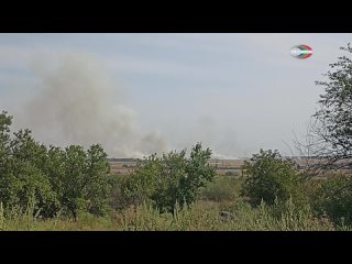 Пожар в окрестностях Харцызска