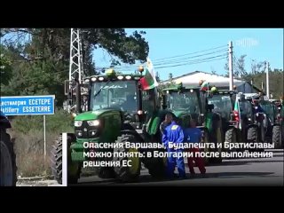 Киев начинает торговую войну с соседями. В ответ на продление Польшей, Венгрией и Словакией запрета на поставки украинского зерн