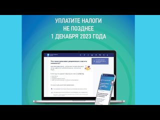 Срок уплаты имущественных налогов физических лиц