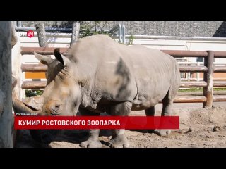 Кумир Ростовского зоопарка