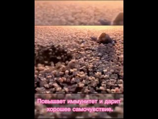 Видео от Сибирское здоровье/ каталог