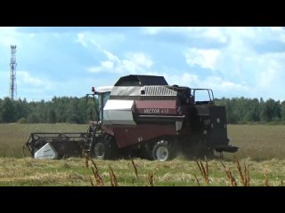 Уборка зерновых на полях СПК РОДИНА около города Вязники