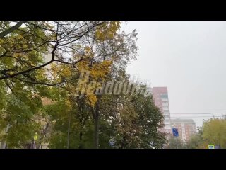 Москва окутана серым туманом — водителей просят быть особо осторожными на дорогах
