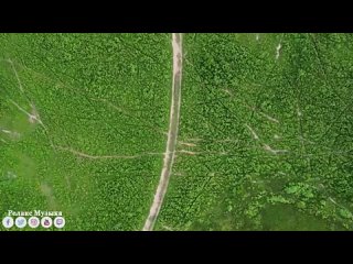 Самая красивая мелодия на свете! Эту музыку можно слушать вечно! красивая музыка