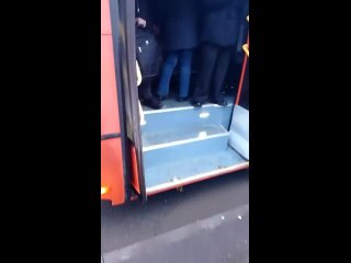 Вот такой вот приветливый автобус я сегодня увидела!) (видео)