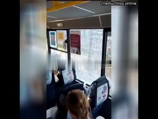 В Подмосковье мигранты не заплатили за проезд и разбили стёкла в автобусе, где были женщины и дети