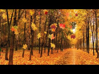 Van Galen Band - Autumn Leaves