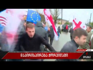 Сторонников Саакашвили прогнали из родного села основателя правящей партии “Грузинская мечта“