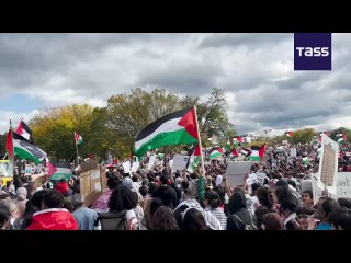 ▶️ Una gran manifestación en favor de Palestina y del alto el fuego en Oriente Medio tuvo lugar ante el monumento a George Washi