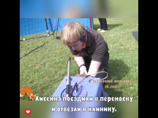 Mилый зверeк