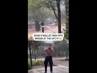 Шон О’Мэлли угарает над тренировкой Мераба Двалишвили под дождем