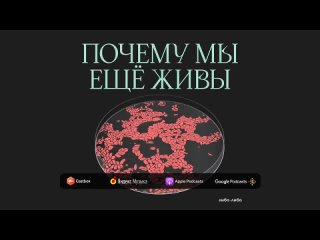 ЛибоЛибо Показать всё, что скрыто: кто придумал рентген, КТ, УЗИ и МРТ | Подкаст Почему мы ещё живы