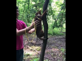 Не кочегары мы, не плотники, 
Но сожалений горьких нет, 
А мы монтажники - высотники, 
И с высоты вам шлем привет.