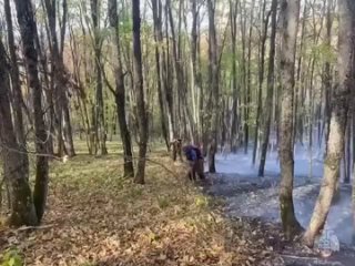 В Краснодарском крае сотрудники МЧС России помогают ликвидировать крупный пожар