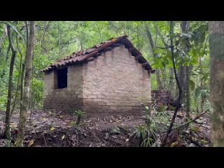 Primitive Technology: Making Charcoal (3 Different Methods)