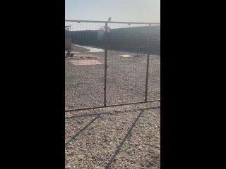 Видео от АНО «ДОБРЫЙ МИР» АНАПА Частный приют для собак