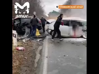 Легковушка вспыхнула после аварии в Приморье - погибла водитель