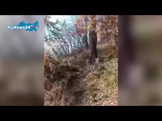 В Горном Алтае в результате удара молнии погибли порядка 40 овец