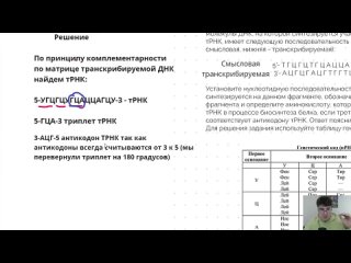 [EGE hub | Биология | ЕГЭ 2024] Все типы задач на биосинтез белка. Часть №1