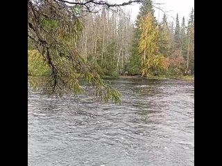 Водопады Ахвенкоски