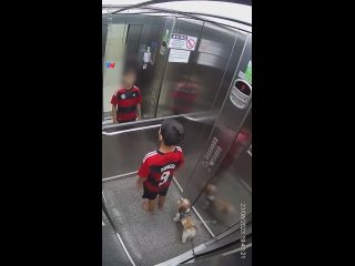 В Бразилии школьник героически спас щенка, который чуть не задохнулся в лифте