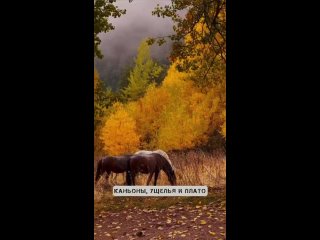 💛🍂🍁🏔️ Прекрасные, осенние горы ДОМБАЯ

Горящий тур на 5 ночей / 6 дней🔥

⚡Последние места на рейсе!