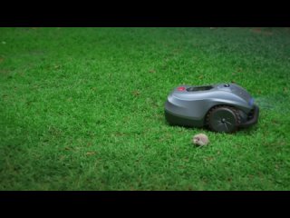 Tesla представила газонокосилку робот