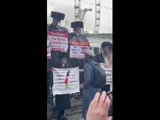 Мусульманин благодарит ортодоксальных евреев за поддержку Палестины на митинге в одной из европейских стран.