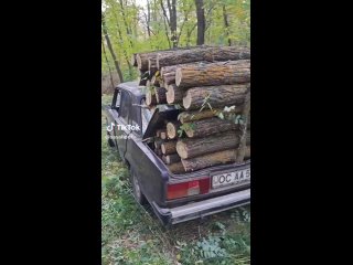 В Молдове граждане готовятся к зиме. Беспощадно вырубают лес. Именно так по версии президента страны Майи Санду выглядит энергет