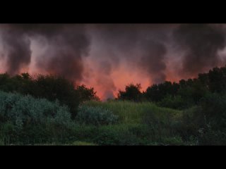 Красное Небо/В Огне/Roter Himmel/Afire/(2023)/Кристиан Петцольд/Christian Petzold/[ENG/RUS SUB]