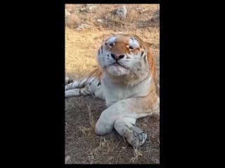 Будь здоров, милаш😍 - Ольга Матжуга