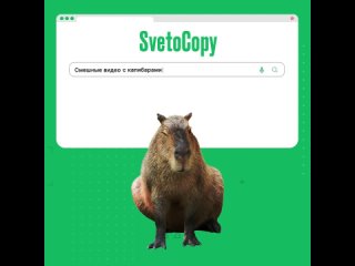 SvetoCopy