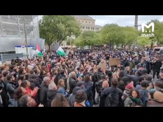 Масштабные митинги в поддержку Палестины прошли в Париже