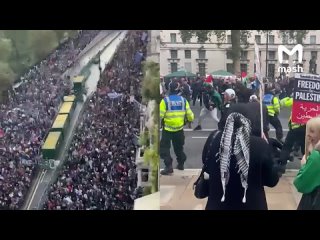 Масштабные митинги в поддержку Палестины прошли в Париже. Активисты закидывают полицию бутылками и дымовыми шашками. Копы, в сво