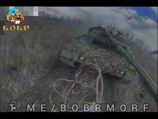Ещё один леопард 🐆 
На них в прямом смысле открыто сафари!
Именно по этому танку работали сразу 2 расчёта, Бобры и FPV 71 полка