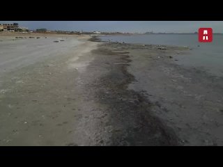 Каспийское море Экологическая катастрофа
