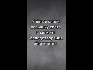 Видео от ВСЁ ОБО ВСЁМ И НЕ ТОЛЬКО ©️