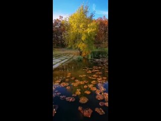 Видео от Фёдора Лашкова