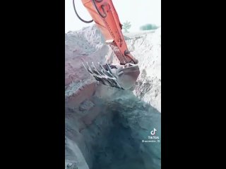 Экскаватор спасает собаку после падения в яму