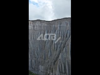 Забраться на вершину каньона: захватывающее видео с медведем-скалолазом на Курилах