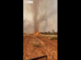 В Австралии засняли редкое природное явление — огненный торнадо