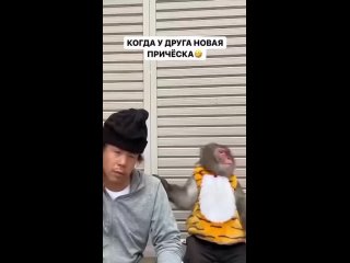 Когда вернулась к своему парикмахеру, после покраски волос дома 😂