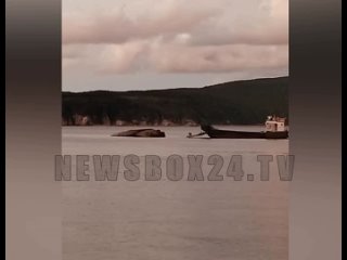 В Приморье в проливе Старка на острове Попова перевернулась баржа с машиной
