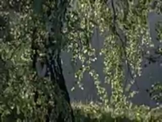 Видео от Зеленодольские истории
