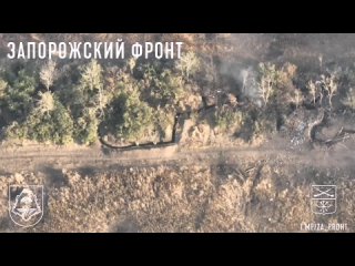 🇷🇺🇺🇦Спецназ и 42 мсд уничтожают штурмовые группы ВСУ на Ореховском участке фронта в Запорожской области