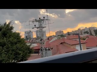 [varlamov] Сектор Газа: месть Израиля, рассказы очевидцев и мобилизация | ХАМАС, Ливан и политика