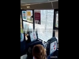 В Подмосковье гастарбайтеры не заплатили за проезд и разбили стёкла в автобусе, где были женщины, дети и старики