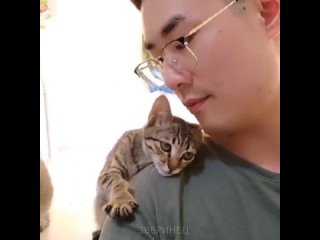 Котик любит обнимашки