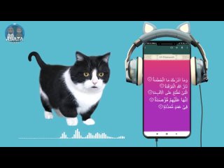 123. Animation Cute Cat Recite Juz Amma AL - Humazah